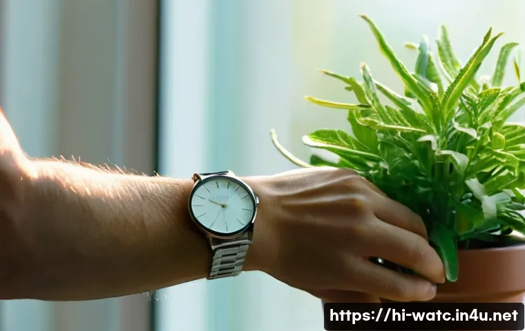 솔라 파워 시계 유지 관리 - **Prompt:** "A serene, well-lit close-up of an adult's hands gently placing a sophisticated solar-po...